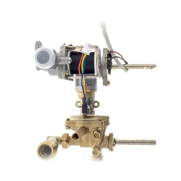 Cuerpo agua gas para calentador Cointra 398C0310 GLP