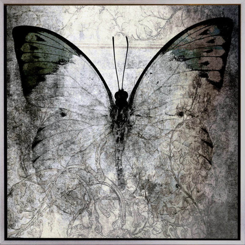 Leinwandbild mit Schattenfugenrahmen - Papilio 50x50cm