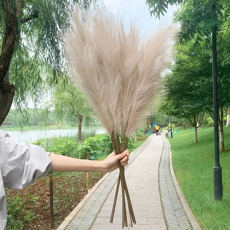5 Stück 100 cm künstlicher Pampasgras-Trockenblumenstrauß, Dekoration für Hochzeiten, Partys, Zuhause, Zimmer, DIY-Kunstpflanzen-Dekorationszubehör