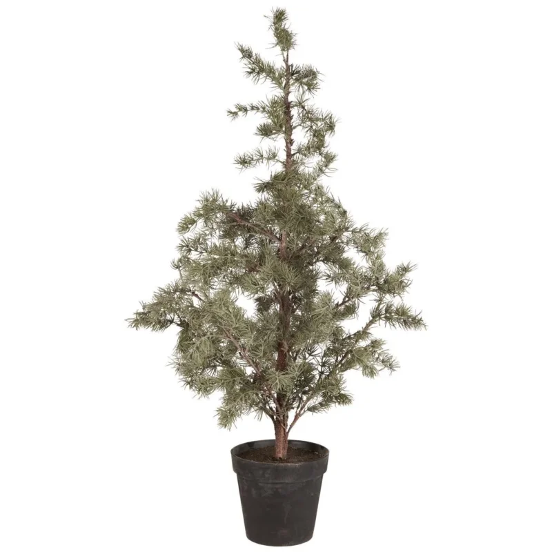 IB Laursen Weihnachtsbaum ZEDER mit Plastiktopf groß | Ø 60 H120cm - Sir Henrys