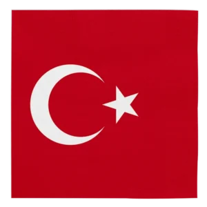 Turkije Servetten 3 Laags 33cm 20st van WeFiesta koop je bij Partywinkel