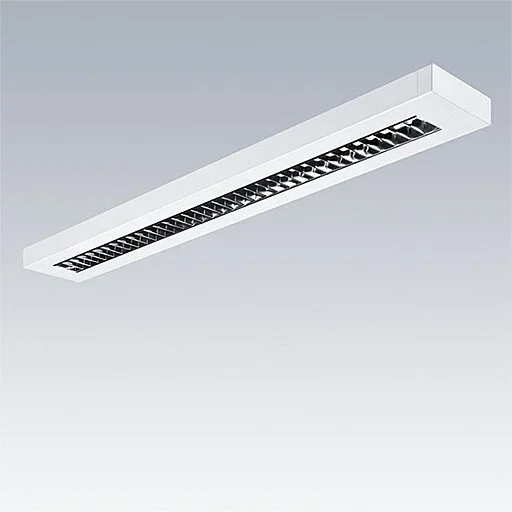 Thorn - Decken - /Wandleuchte LED - Aufputzleuchte PUNCH 3 LV #96635728 840
